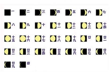 閏月計算|暦Wiki/太陰太陽暦/置閏法